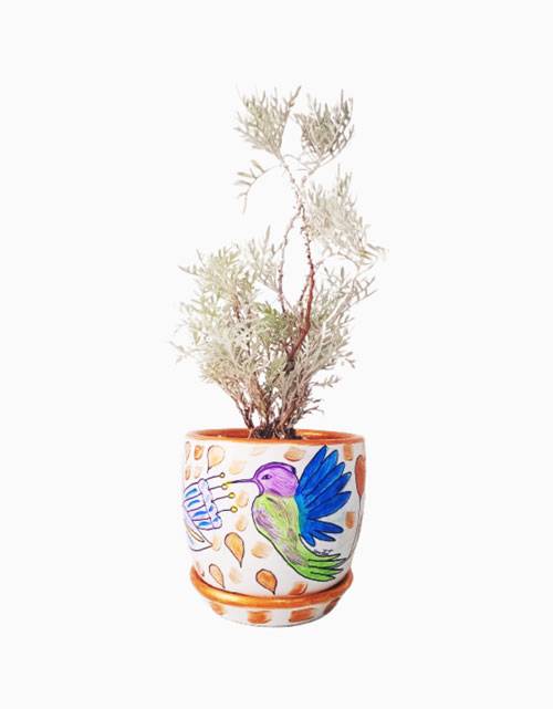 Dorado Artemisa (Artemisia)