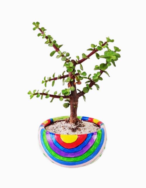 Bonsái de Colores (Ø 14 cm)