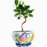 Imagen anterior del producto