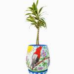 Imagen anterior del producto