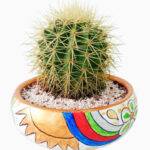 Imagen anterior del producto