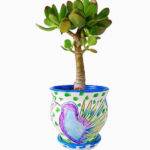 Imagen siguiente del producto