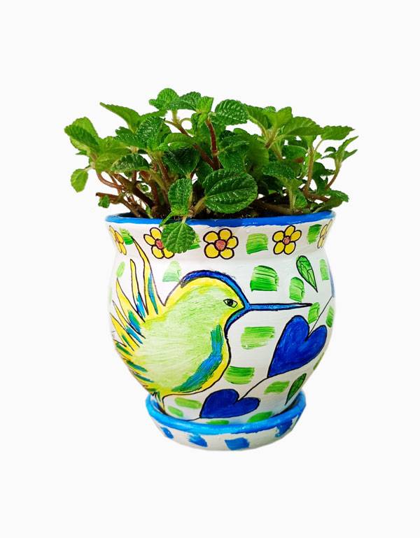 Colibrí - Feng Shui