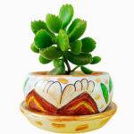 Imagen siguiente del producto