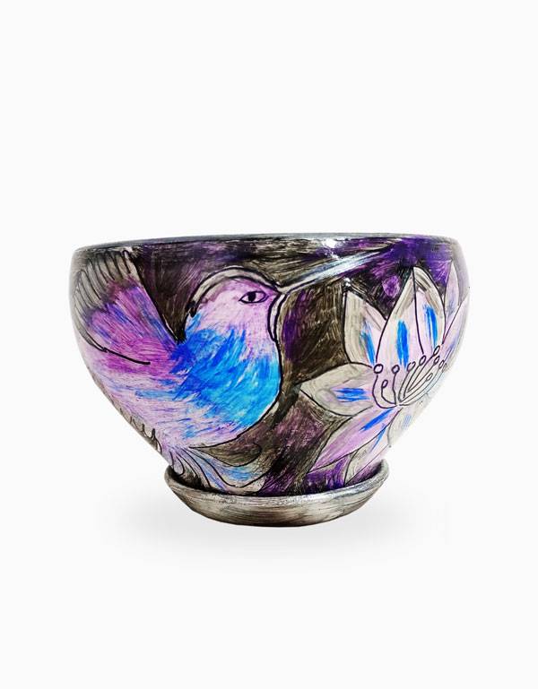 Colibrí Cósmico